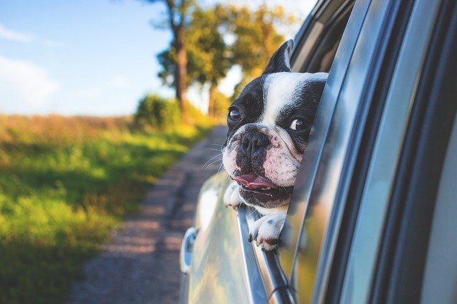 Auto Insurance Auto Insurance